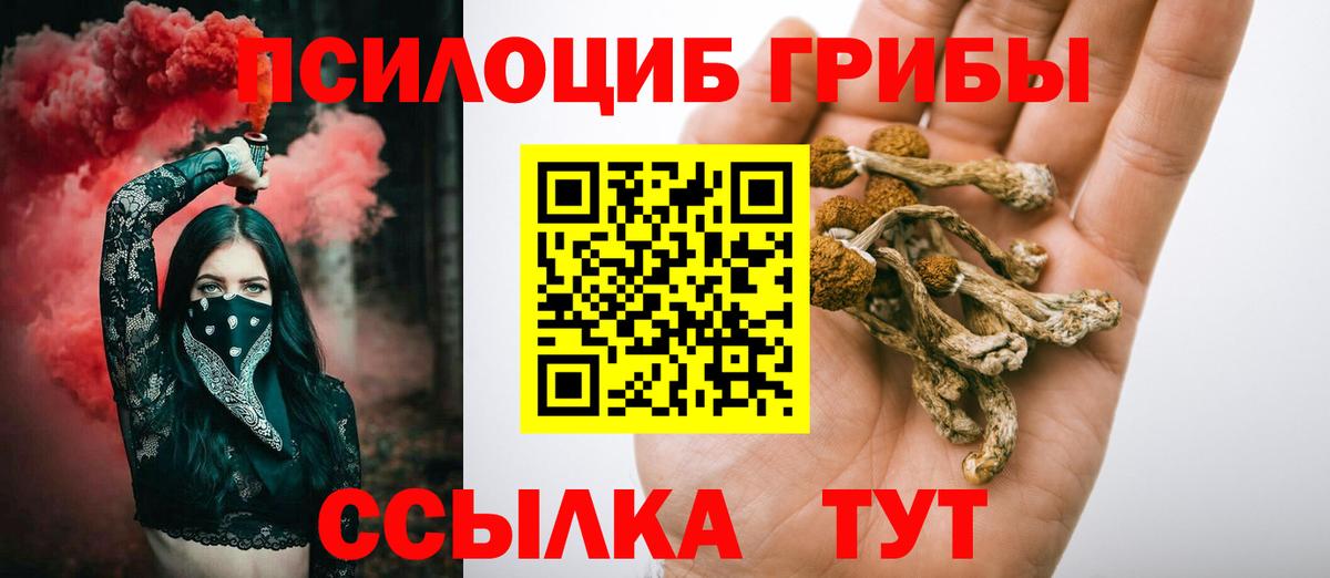 Богородск  цены наркотик  Вход с VPN  Псилоцибиновые грибы прущие грибы 